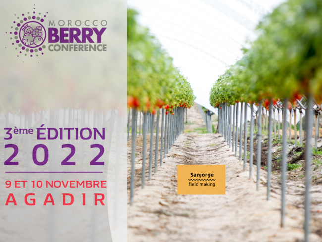 sanjorge-feria-morocco-berries-22-marruecos-agadir Feria Morocco beries 22