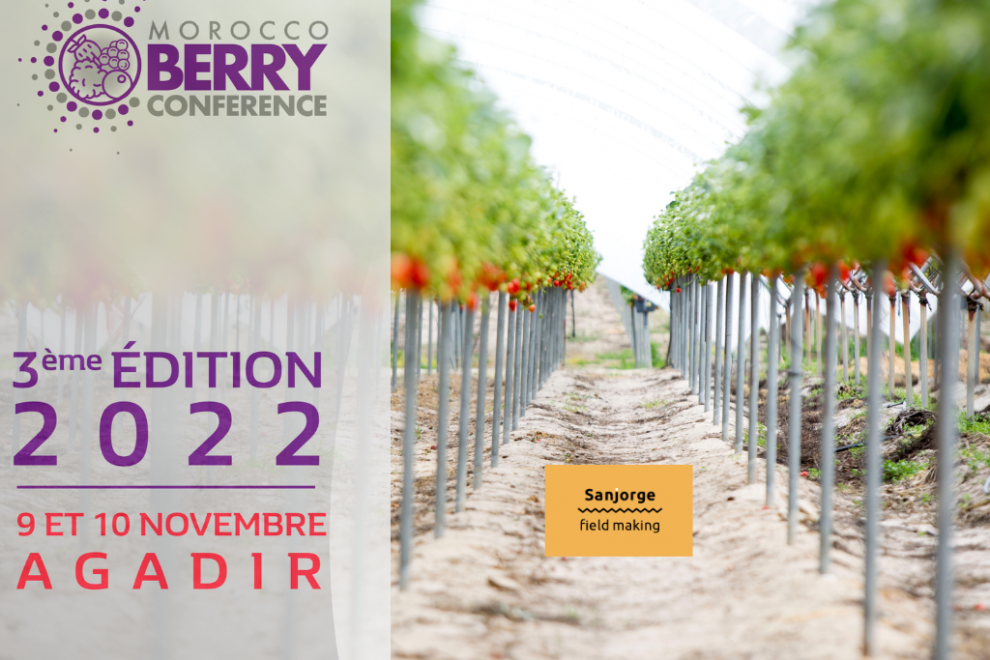 sanjorge-feria-morocco-berries-22-marruecos-agadir Feria Morocco beries 22