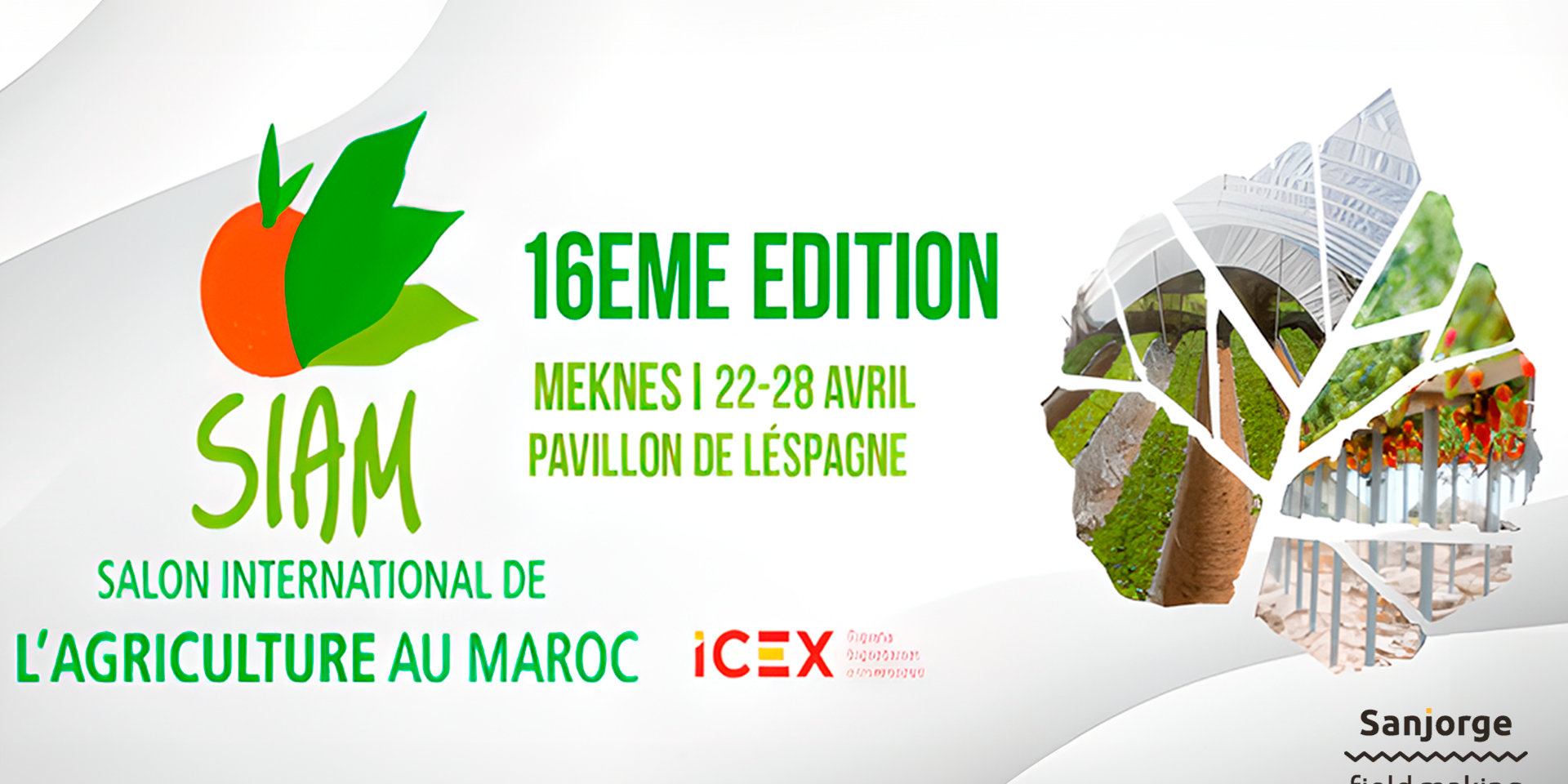 FERIA INSTA feria-internacional-agricola-siam-2024-meknes-sanjorge