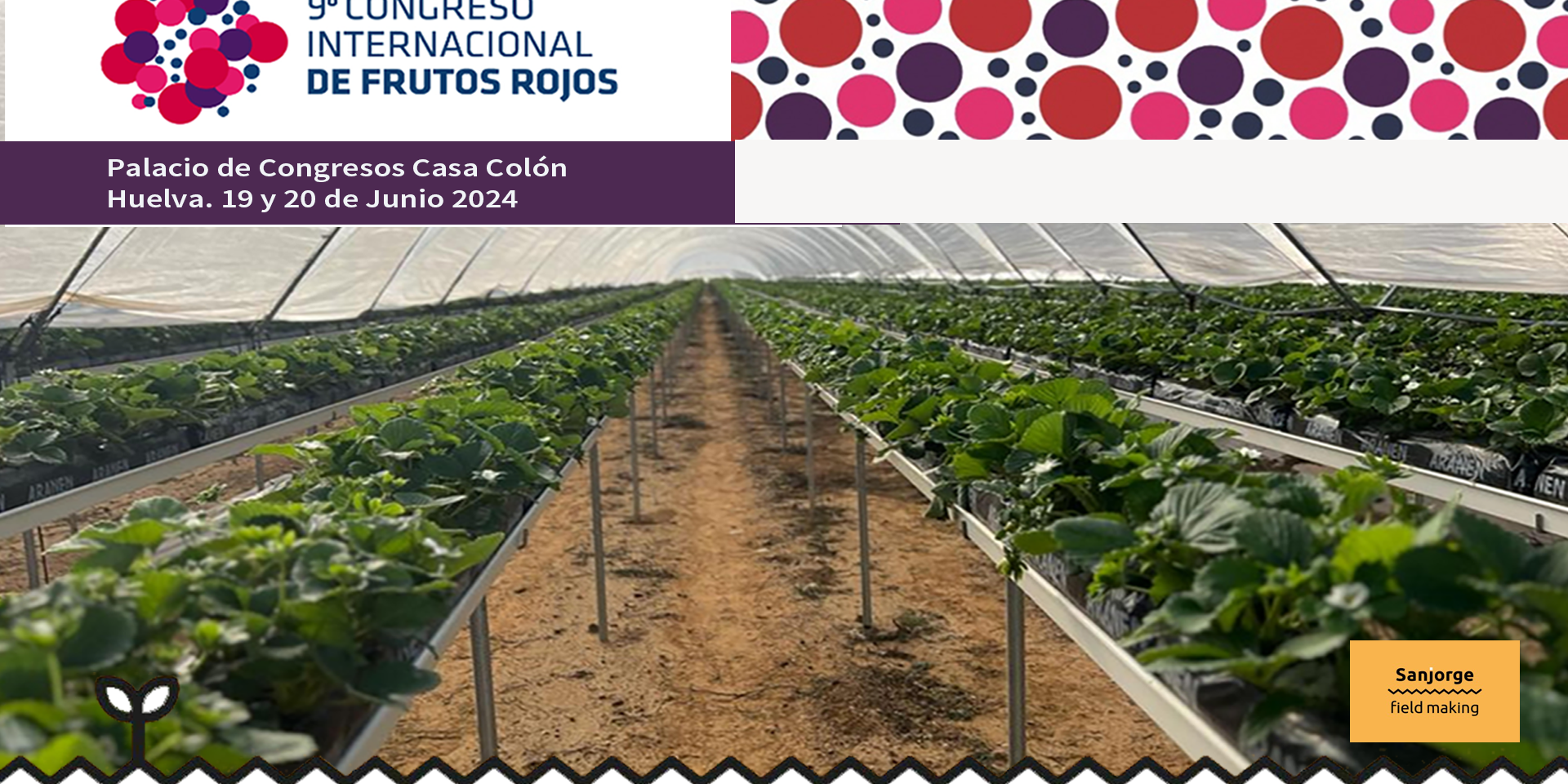 congreso-frutos-rojos-huelva-2024-sanjprge