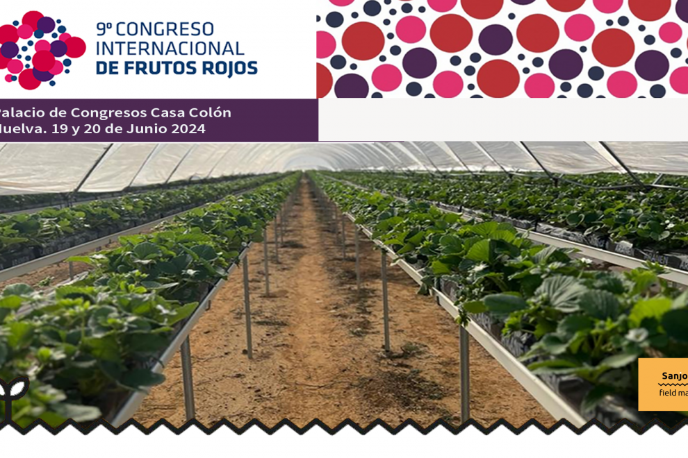 congreso-frutos-rojos-huelva-2024-sanjprge congreso-frutos-rojos-huelva-2024-sanjprge