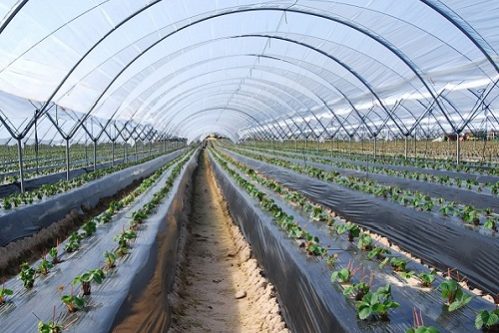 Proyecto de macrotunel en Bogota Colombia