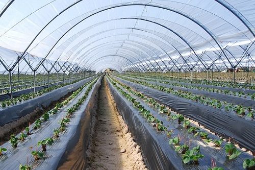 Proyecto de macrotunel en Bogota Colombia