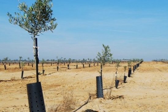 Proyecto de riego en Portugal