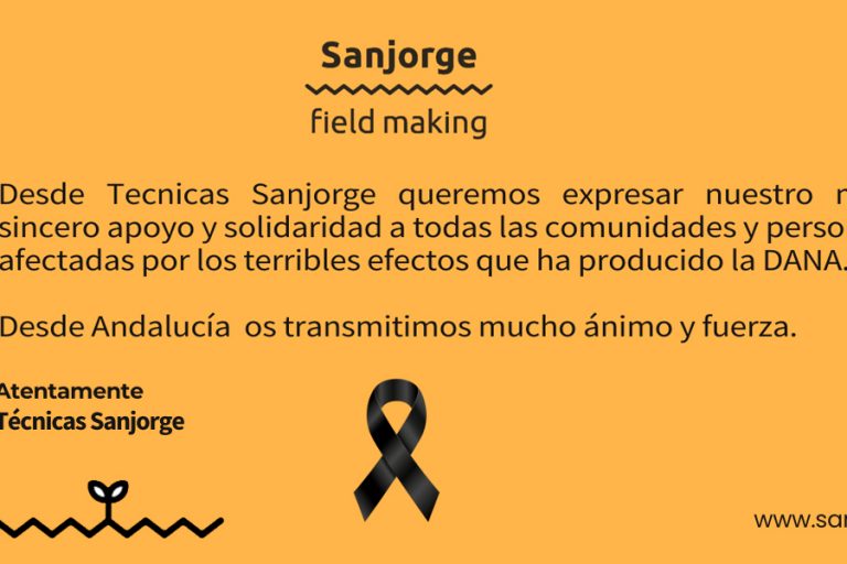 ayuda DANA Sanjorge